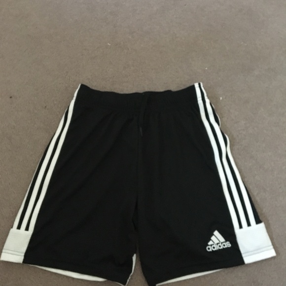 ADIDAS SHORTS: BRAND NEW - Picture 1 of 3